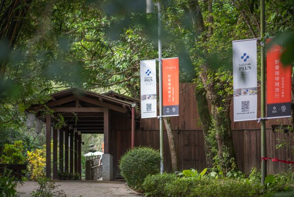 let's cafe plus bemo cafe