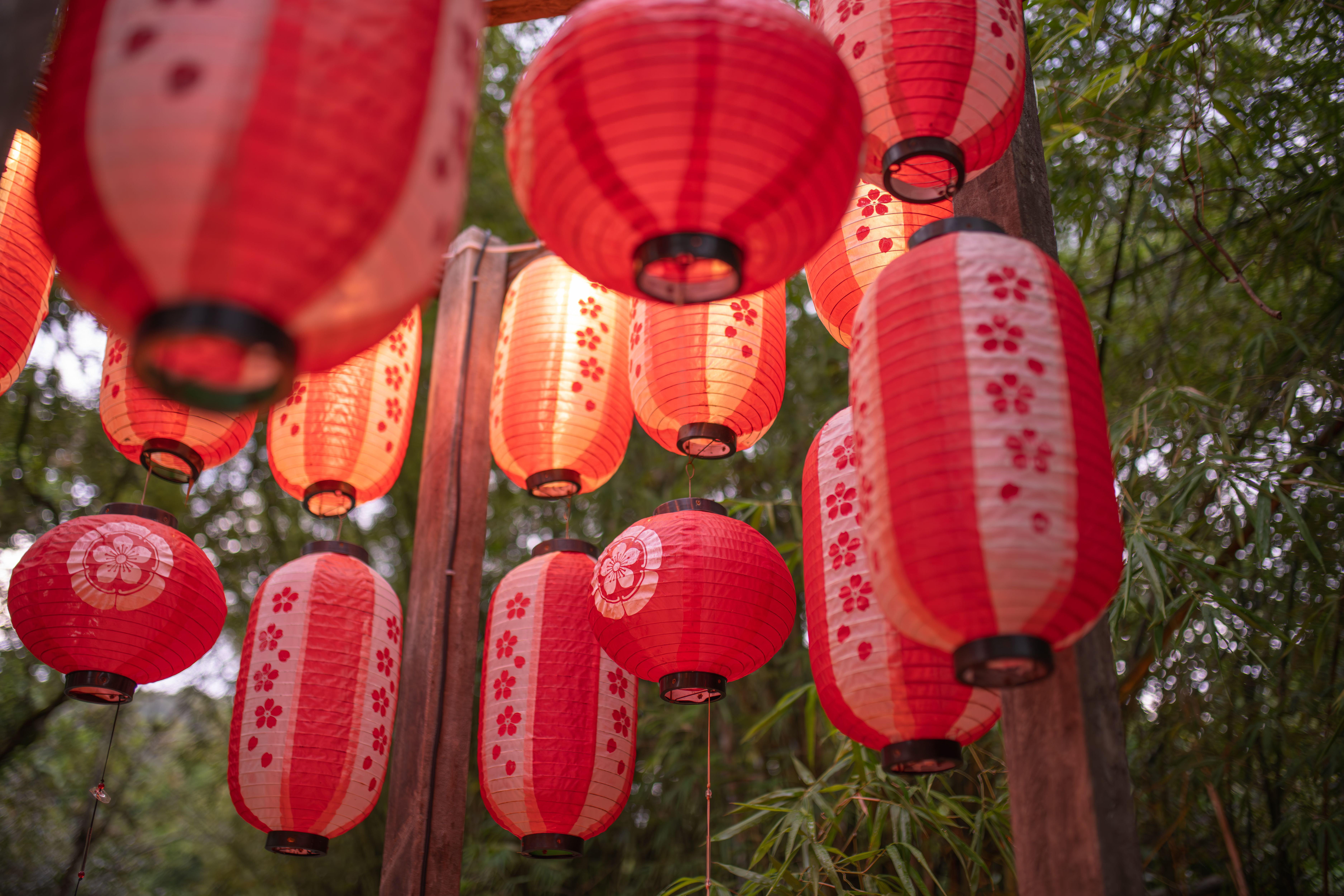 let's cafe plus bemo cafe