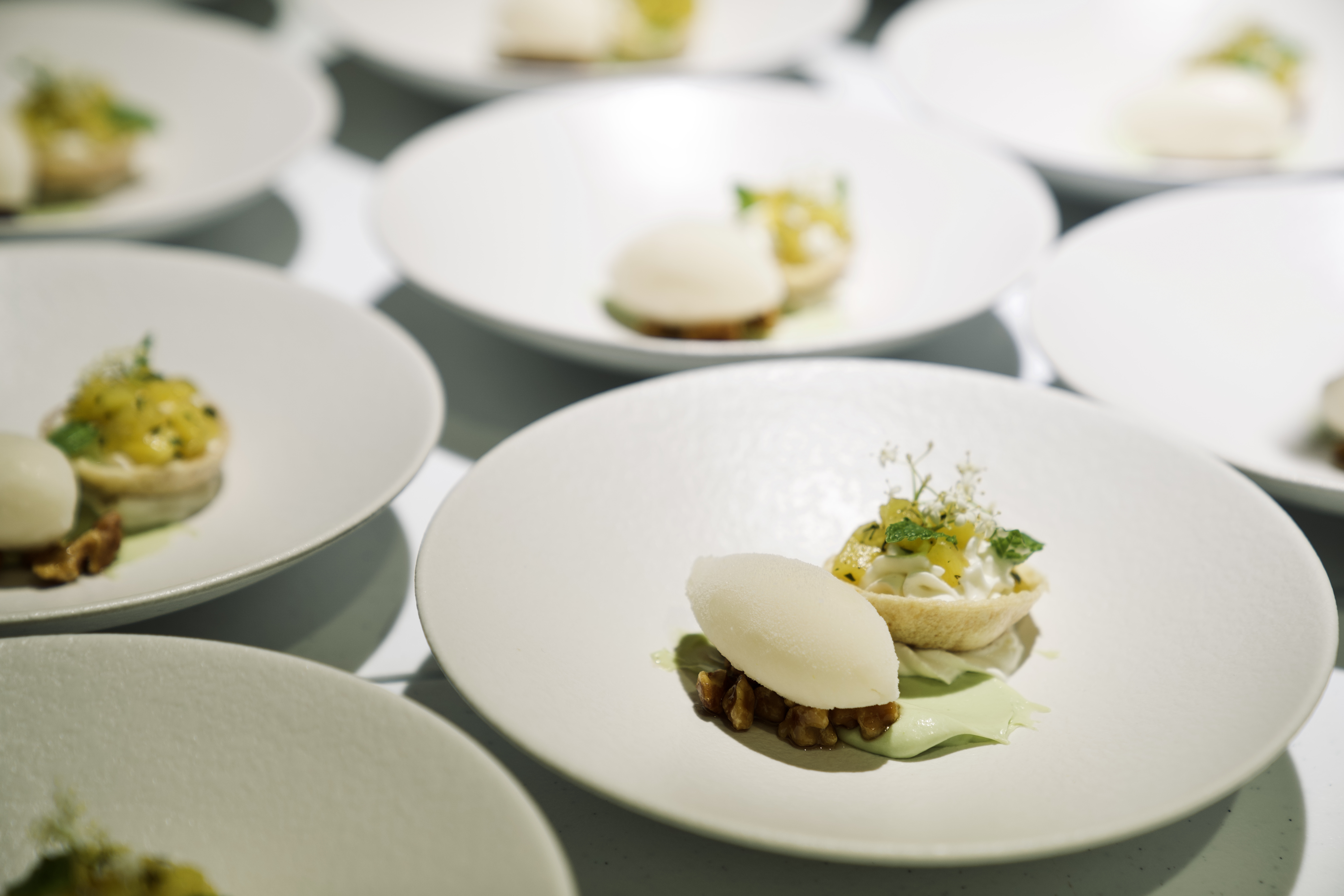 將軍府1936 Snow Peak 洄瀾野遊 私廚野遊餐桌