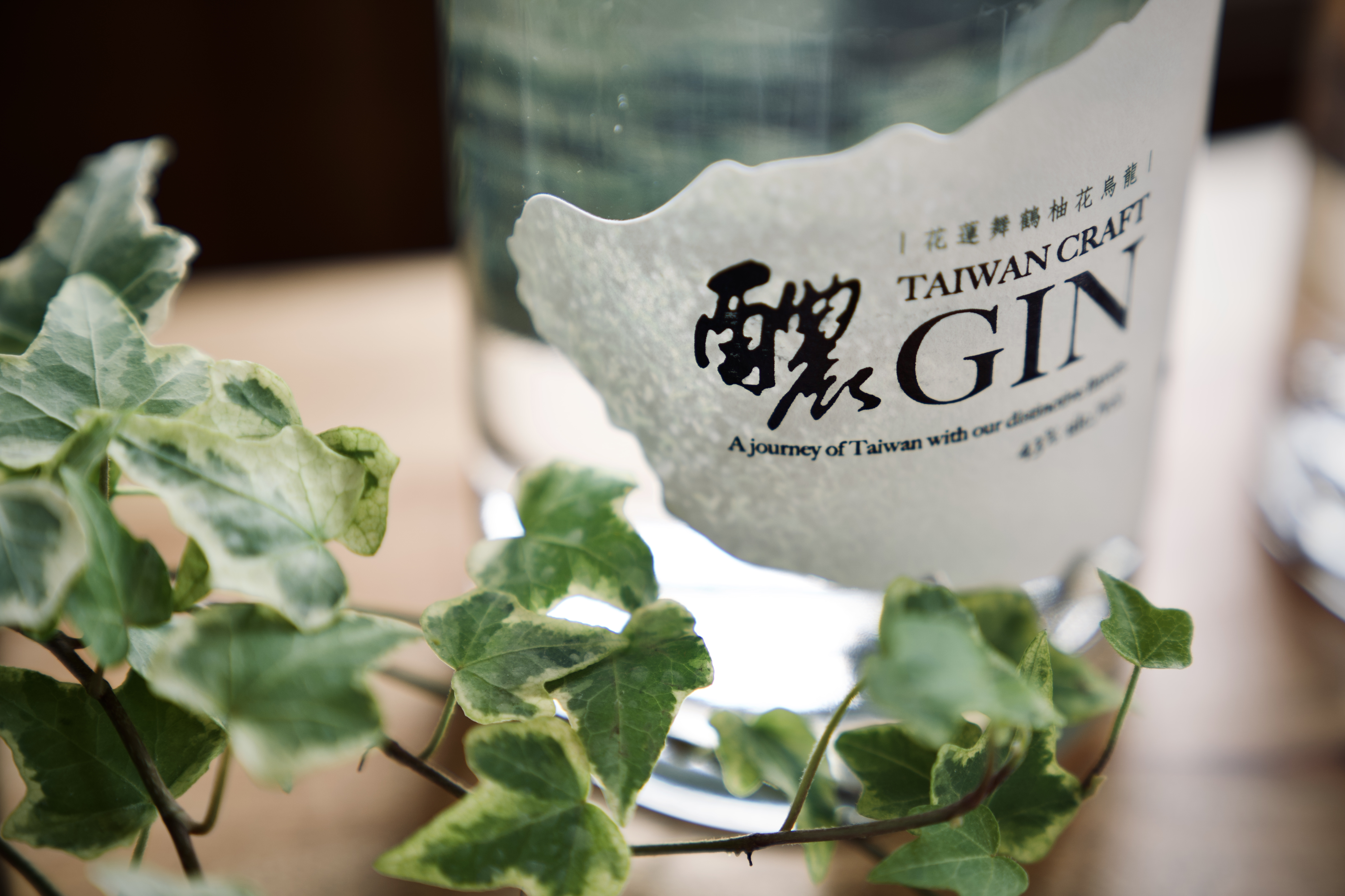 將軍府1936 Snow Peak 洄瀾野遊 情境體驗展