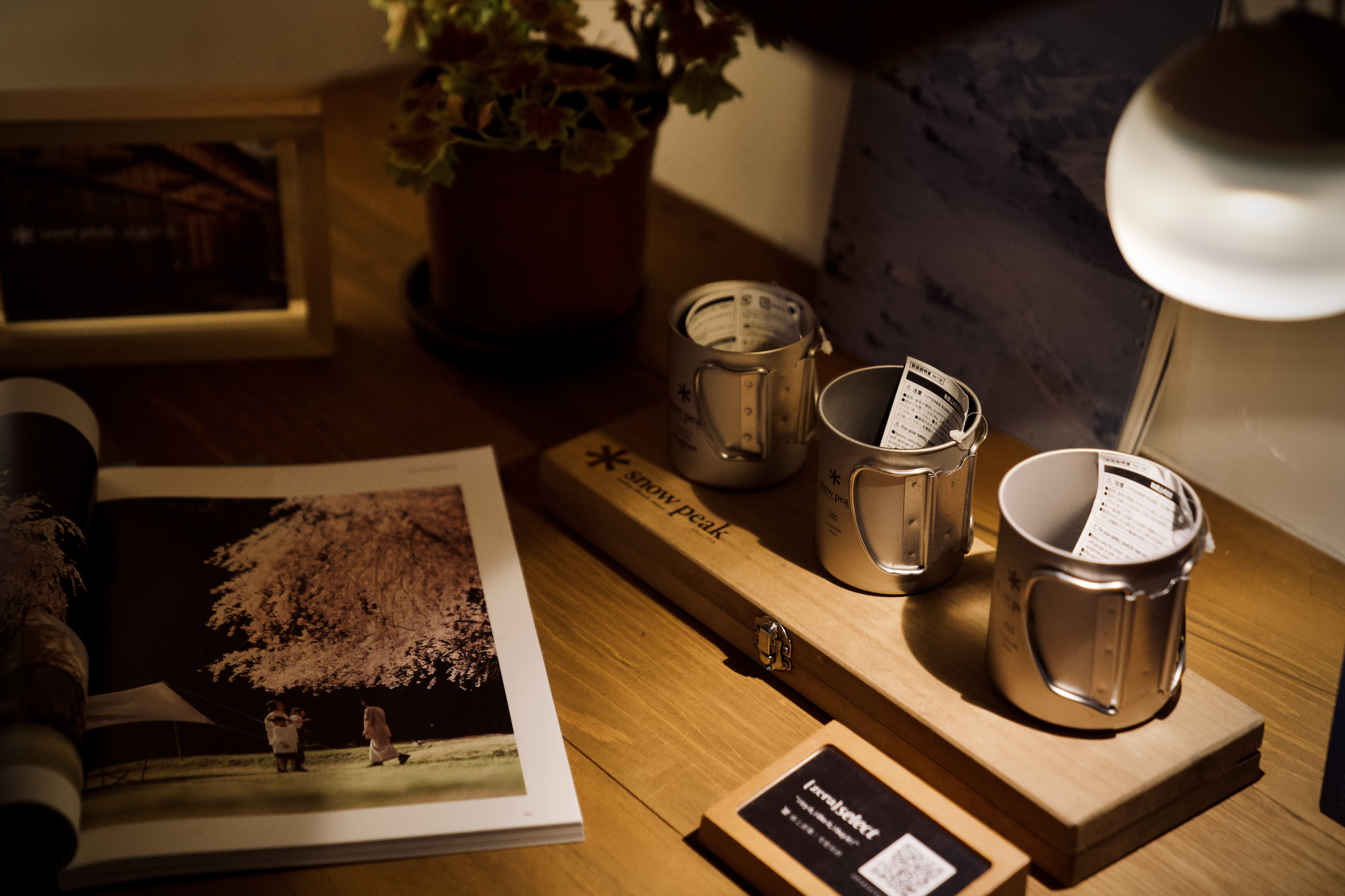 將軍府1936 Snow Peak 洄瀾野遊 情境體驗展