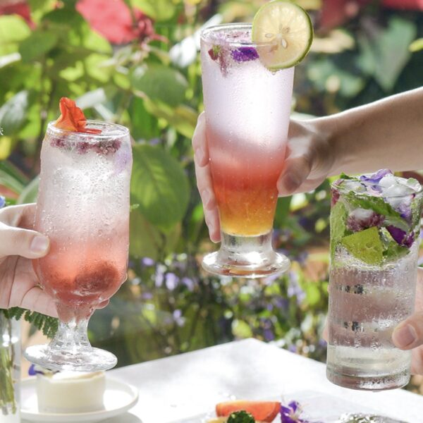 zl-butterfly-blossom-2023-06-09-2-16-57