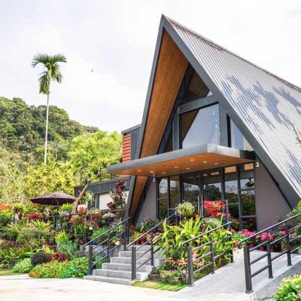 zl-butterfly-blossom-dsc08667