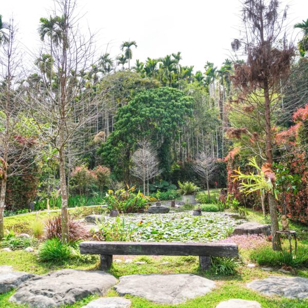 zl-butterfly-blossom-dsc08671