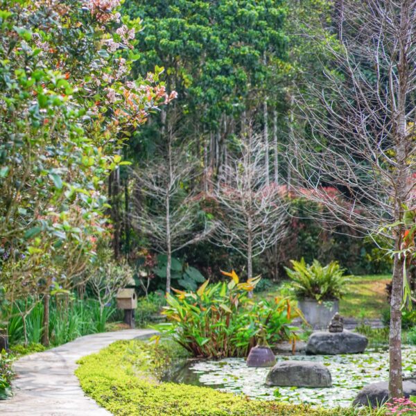 zl-butterfly-blossom-dsc08722