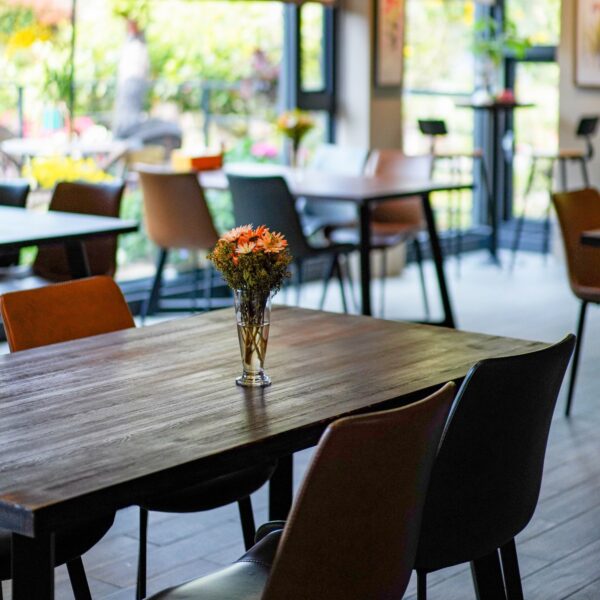 zl-butterfly-blossom-dsc08741