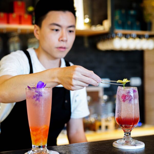 zl-butterfly-blossom-dsc08907