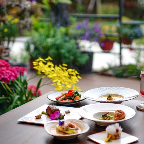 zl-butterfly-blossom-dsc08946