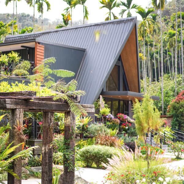 zl-butterfly-blossom-sfl0bts8