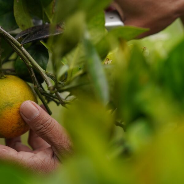 zl-location-zeracafemile-10