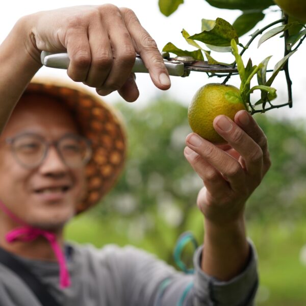 zl-location-zeracafemile-11