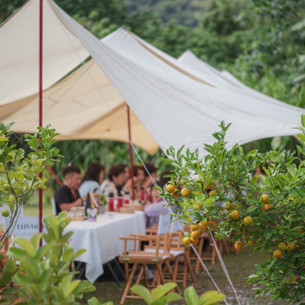 zl-luvhope-gallery-111-11-09 LUVHOPE 鳴日號 (115)