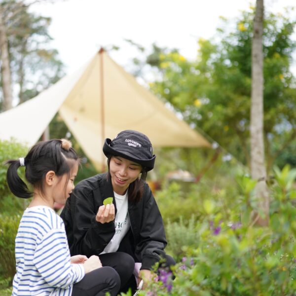 zl-zeracafe-online-cafe-2lMP3Cx8