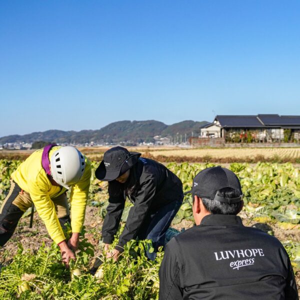 zl-zeracafe-online-cafe-YLpb-cQc