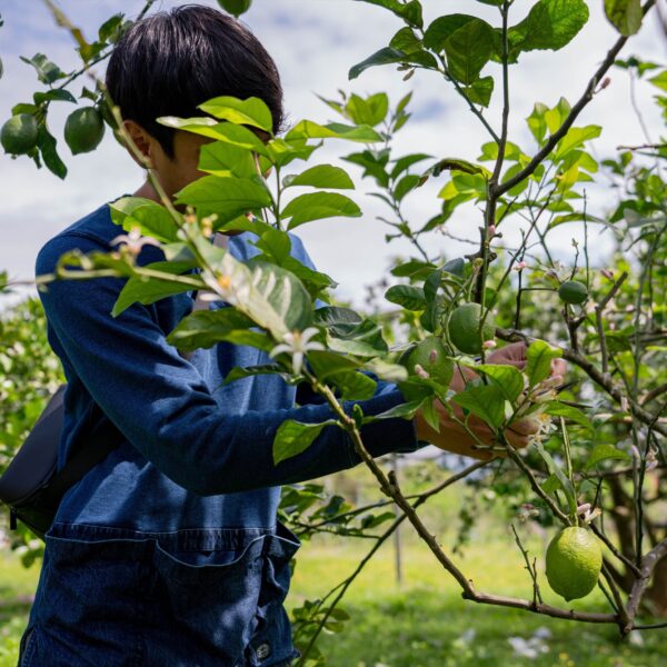 zl-zeracafe-online-cafe-sjsBABG0